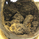 Because we know you can’t get enough of this brain, here’s yet another view of the mushy mass.